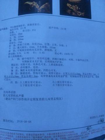 journal_insert_pic_1070404422