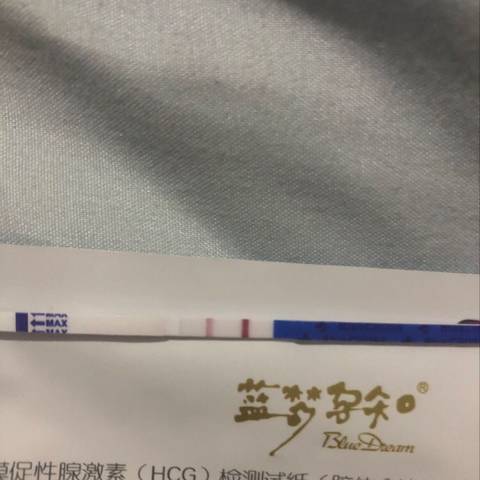 journal_insert_pic_1070292953