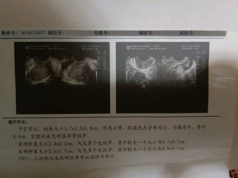 journal_insert_pic_1070149816