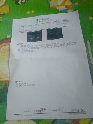 journal_insert_pic_1070332143