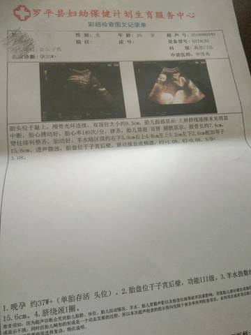 journal_insert_pic_1070911333