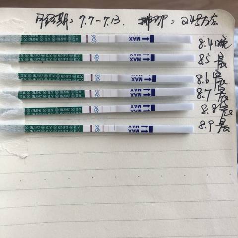journal_insert_pic_1070797247
