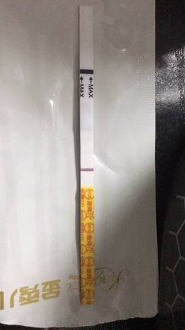 journal_insert_pic_1070652599