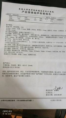journal_insert_pic_1070725970
