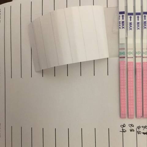 journal_insert_pic_1071053718