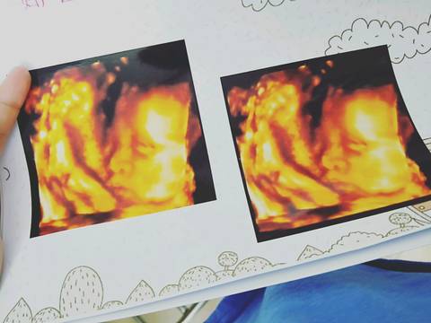 journal_insert_pic_1071009255