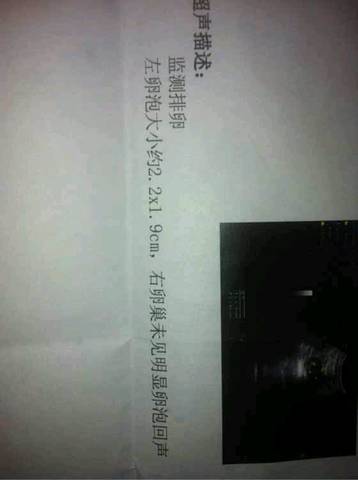 journal_insert_pic_1071559561