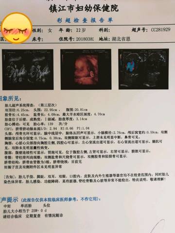 journal_insert_pic_1071460087