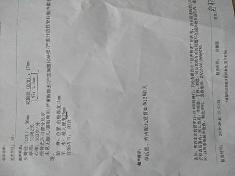 journal_insert_pic_1071506927