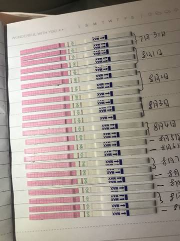 journal_insert_pic_1071407327
