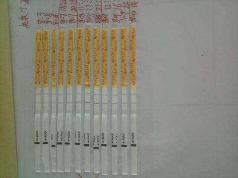 journal_insert_pic_1071345047