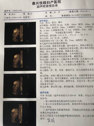 journal_insert_pic_1071849863