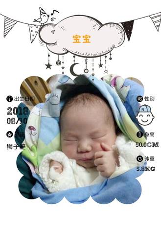 journal_insert_pic_1071740415