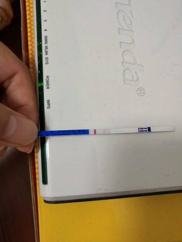 journal_insert_pic_1071886047