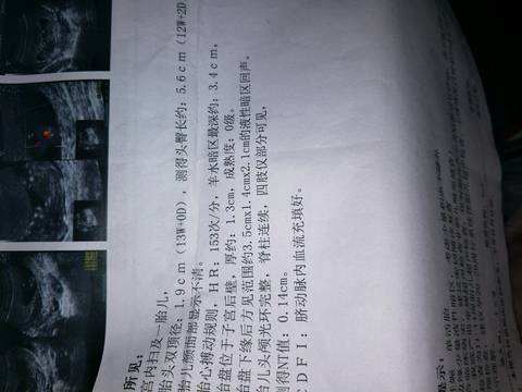 journal_insert_pic_1071947508