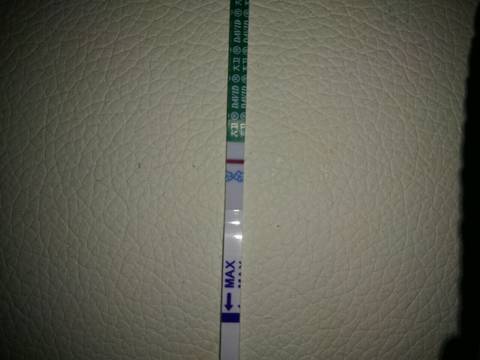 journal_insert_pic_1072872219