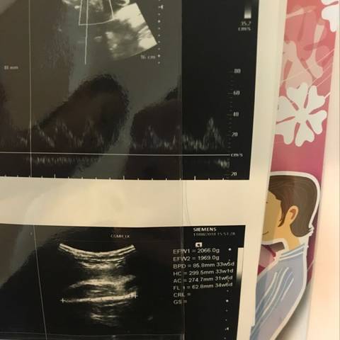 journal_insert_pic_1072742440