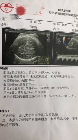 journal_insert_pic_1072717792