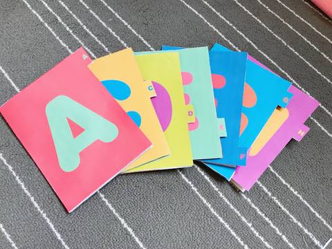 journal_insert_pic_1073274285