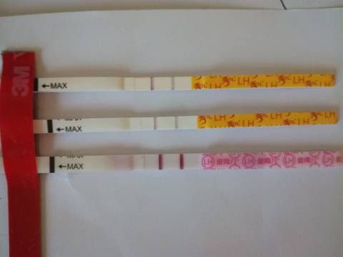 journal_insert_pic_1073289754