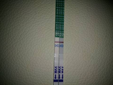 journal_insert_pic_1073065876