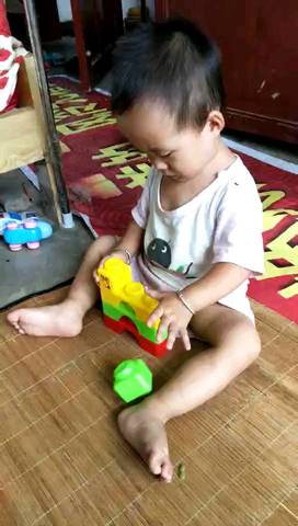 journal_insert_pic_1073820346