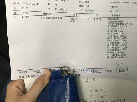 journal_insert_pic_1074074058