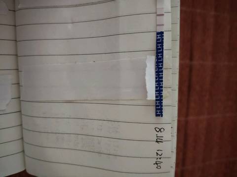 journal_insert_pic_1073915904