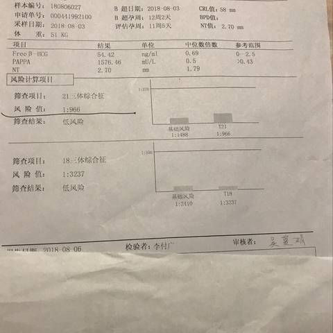journal_insert_pic_1074061774