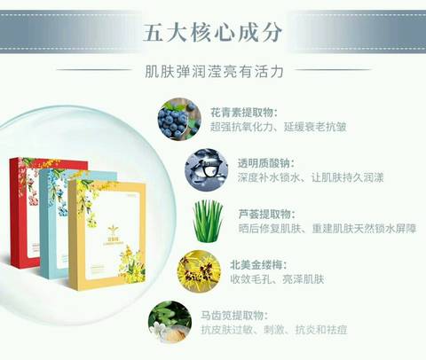 journal_insert_pic_1073855135