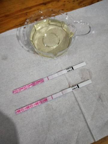 journal_insert_pic_1073887494