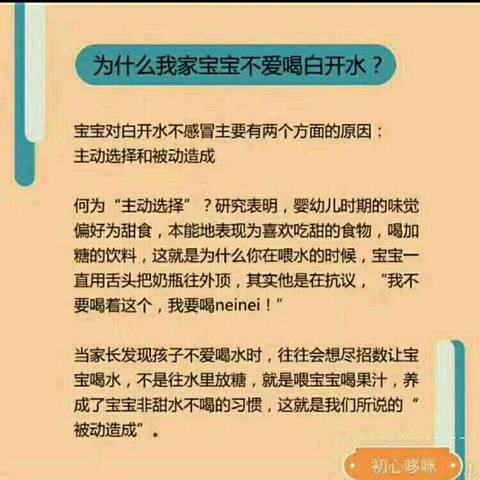 journal_insert_pic_1074073230