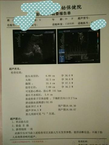 journal_insert_pic_1074575352