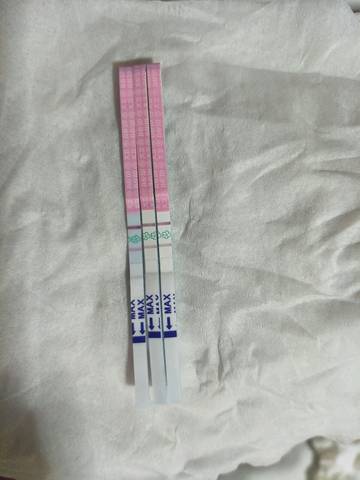 journal_insert_pic_1074731118