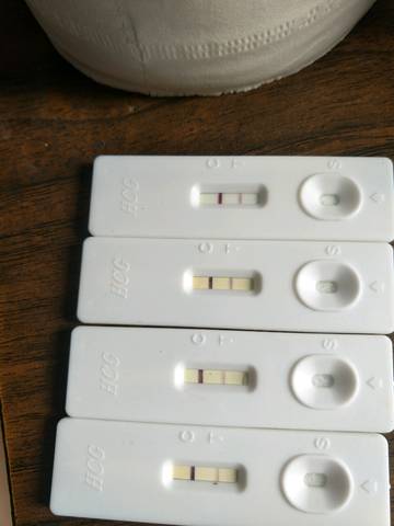 journal_insert_pic_1074670336