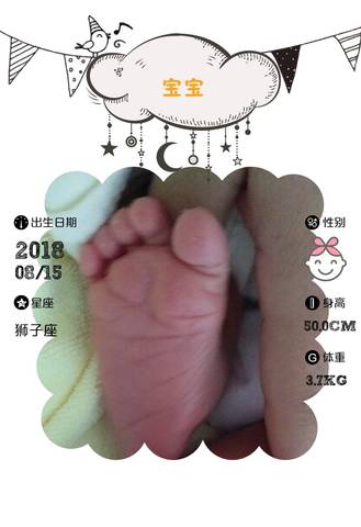 journal_insert_pic_1074809379