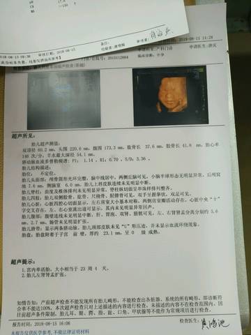 journal_insert_pic_1074840829