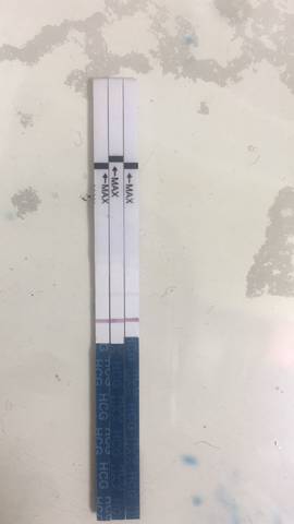 journal_insert_pic_1074711557