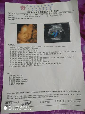 journal_insert_pic_1074501087