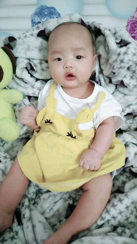 journal_insert_pic_1074554053