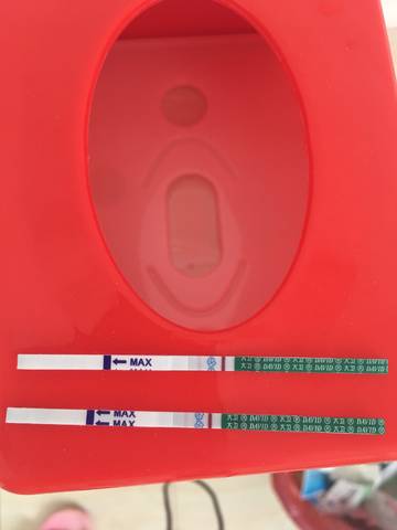 journal_insert_pic_1074564349