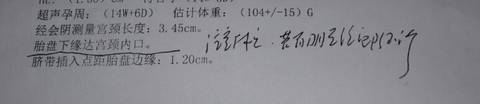 journal_insert_pic_1075742133