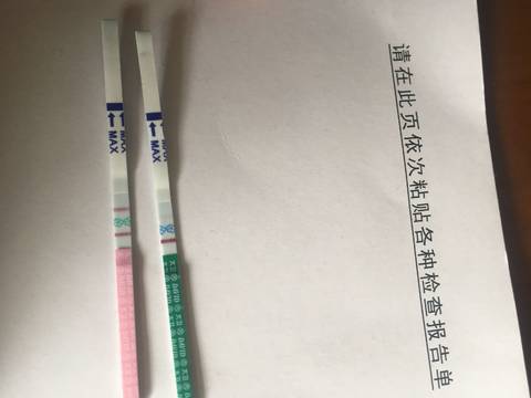 journal_insert_pic_1076836865
