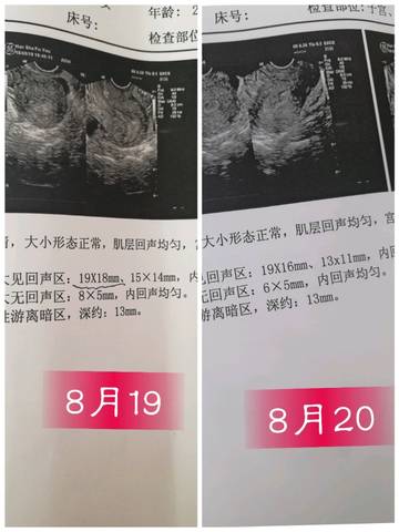journal_insert_pic_1077415115