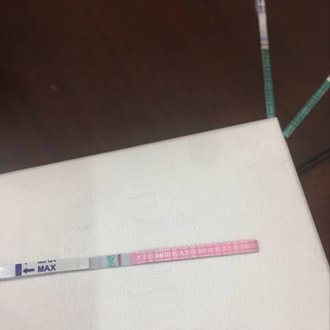 journal_insert_pic_1077938719