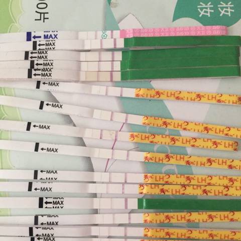 journal_insert_pic_1078205770