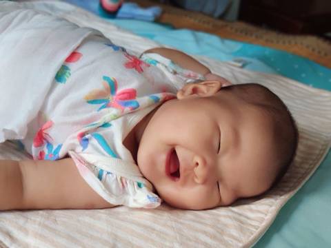 journal_insert_pic_1079261695