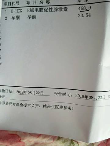journal_insert_pic_1079631831