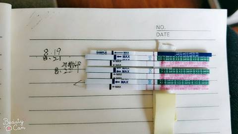 journal_insert_pic_1079293702