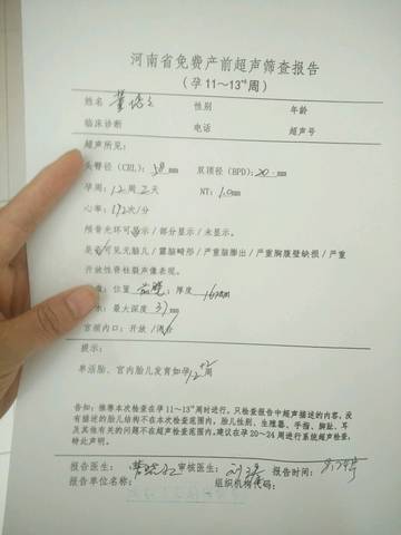 journal_insert_pic_1079953474